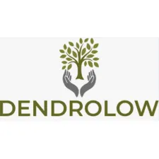 Dendrolow