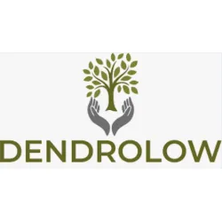 Dendrolow