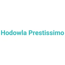 Prestissimo Hodowla Chartów Angielskich Whippet & Charcików Włoskich