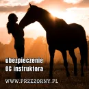 AGENCJA CENTRUM - UBEZPIECZENIA GRODZISK MAZOWIECKI - PRZY SKARPIE - DOROTA BŁASZCZAK