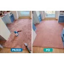 Panda Cleaner Oleh Matviieshyn